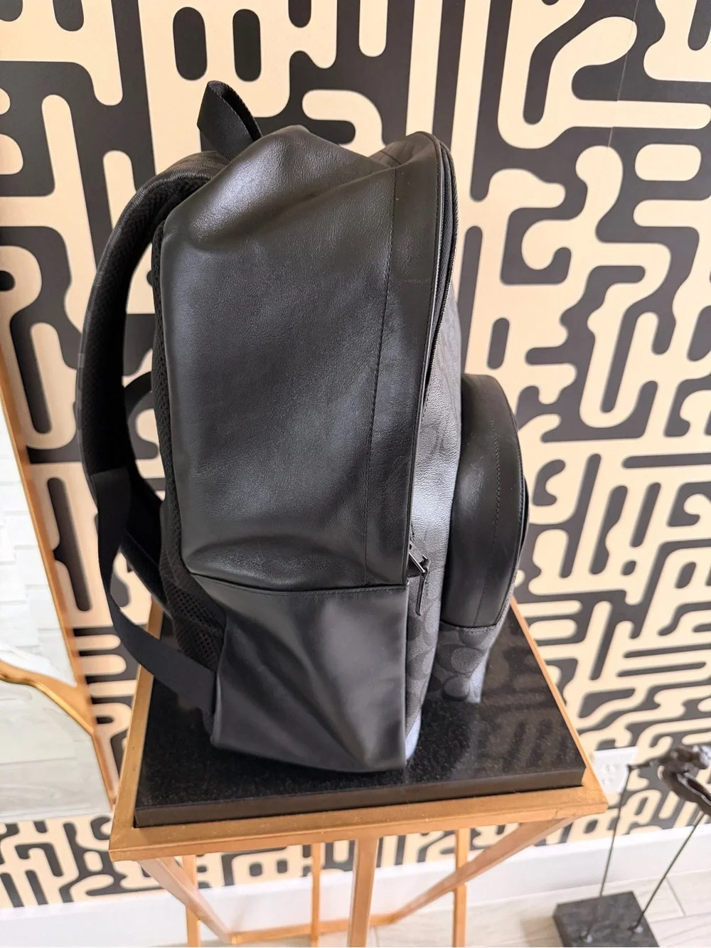 COACH Houston Back pack F72483